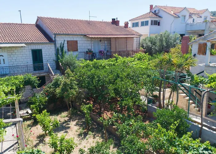 Zora * سوبيتار